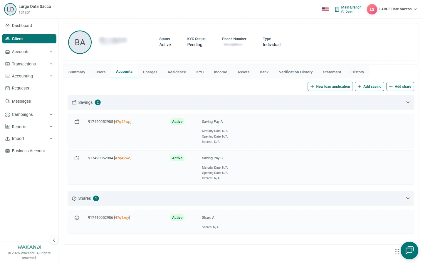 Member record open on the Accounts tab, where New loan application starts a request from the member