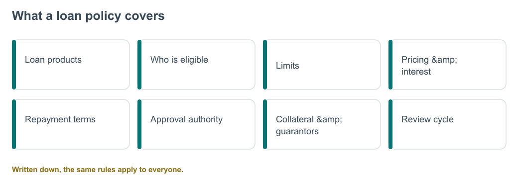 What a loan policy covers — diagram