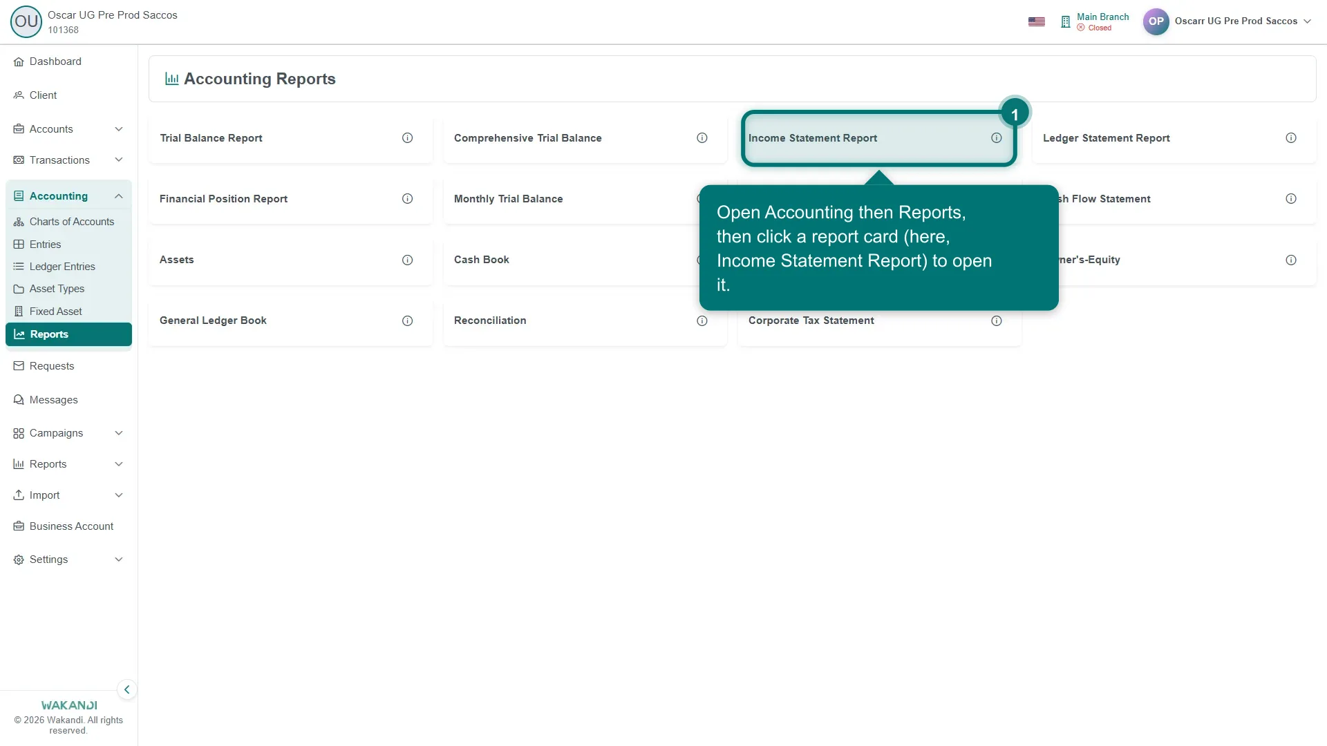 Figure 1: The Accounting Reports screen listing Trial Balance, Income Statement, Financial Position, Ledger Statement, Cash Flow and other report types