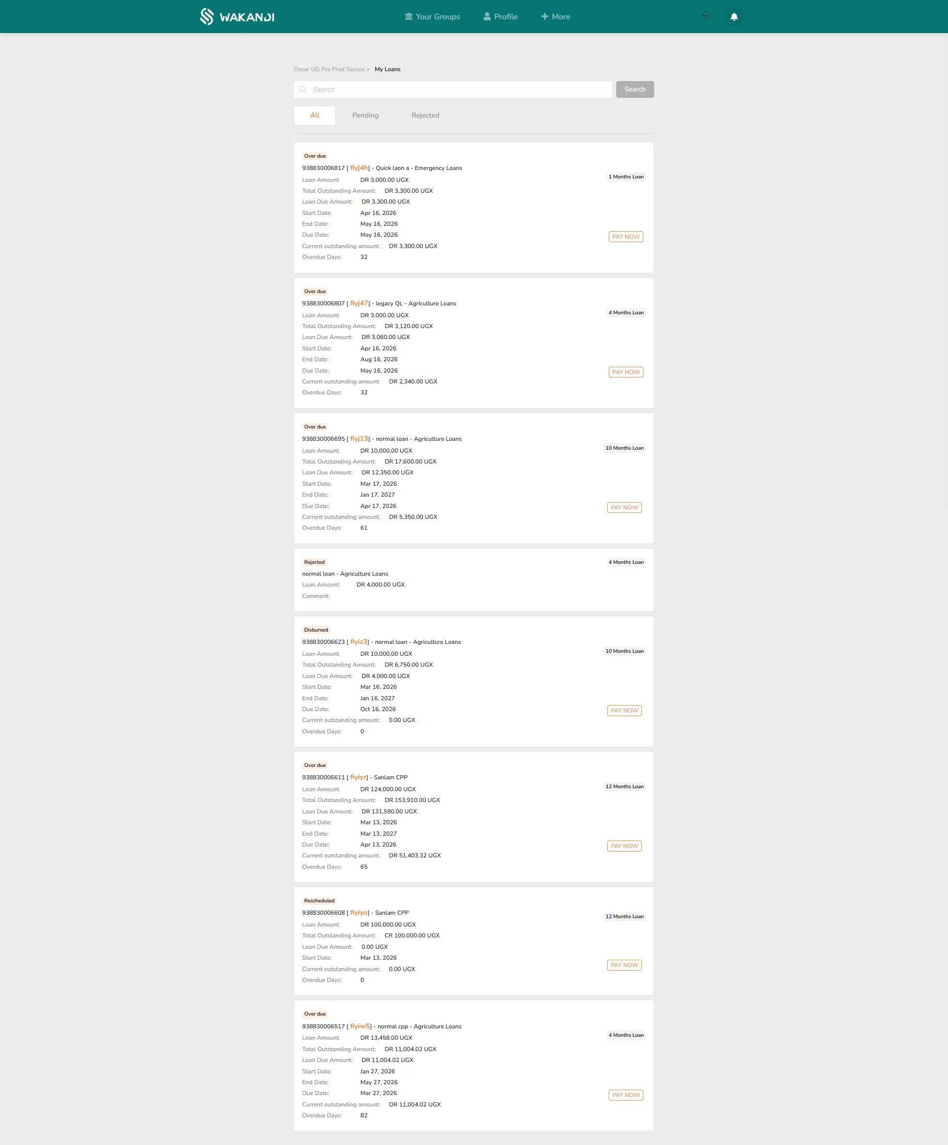 The My Loans screen: each loan card shows the amount, outstanding balance, dates and status, with a Pay Now button to repay