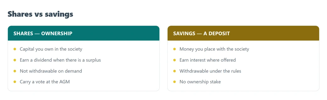 Shares are ownership in the society and earn a dividend, while savings are a deposit and earn interest